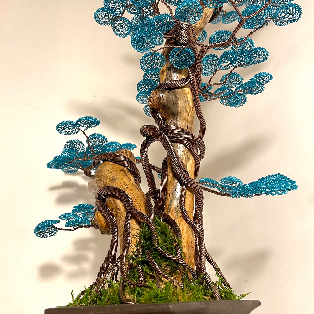 Bonsai B69 (REPLICABILE)