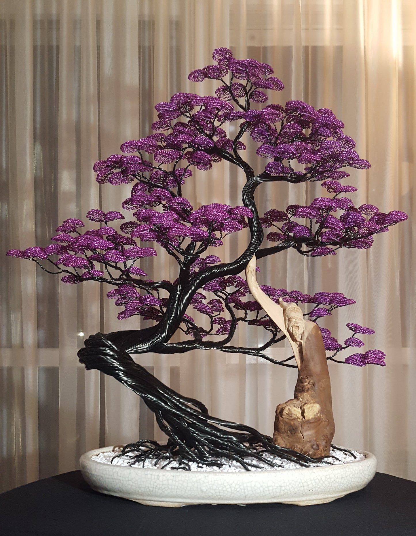Bonsai serie B56