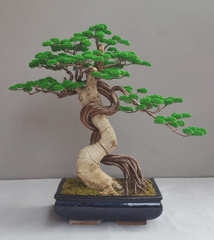 Bonsai Extended Life serie B92 (REPLICABILE)