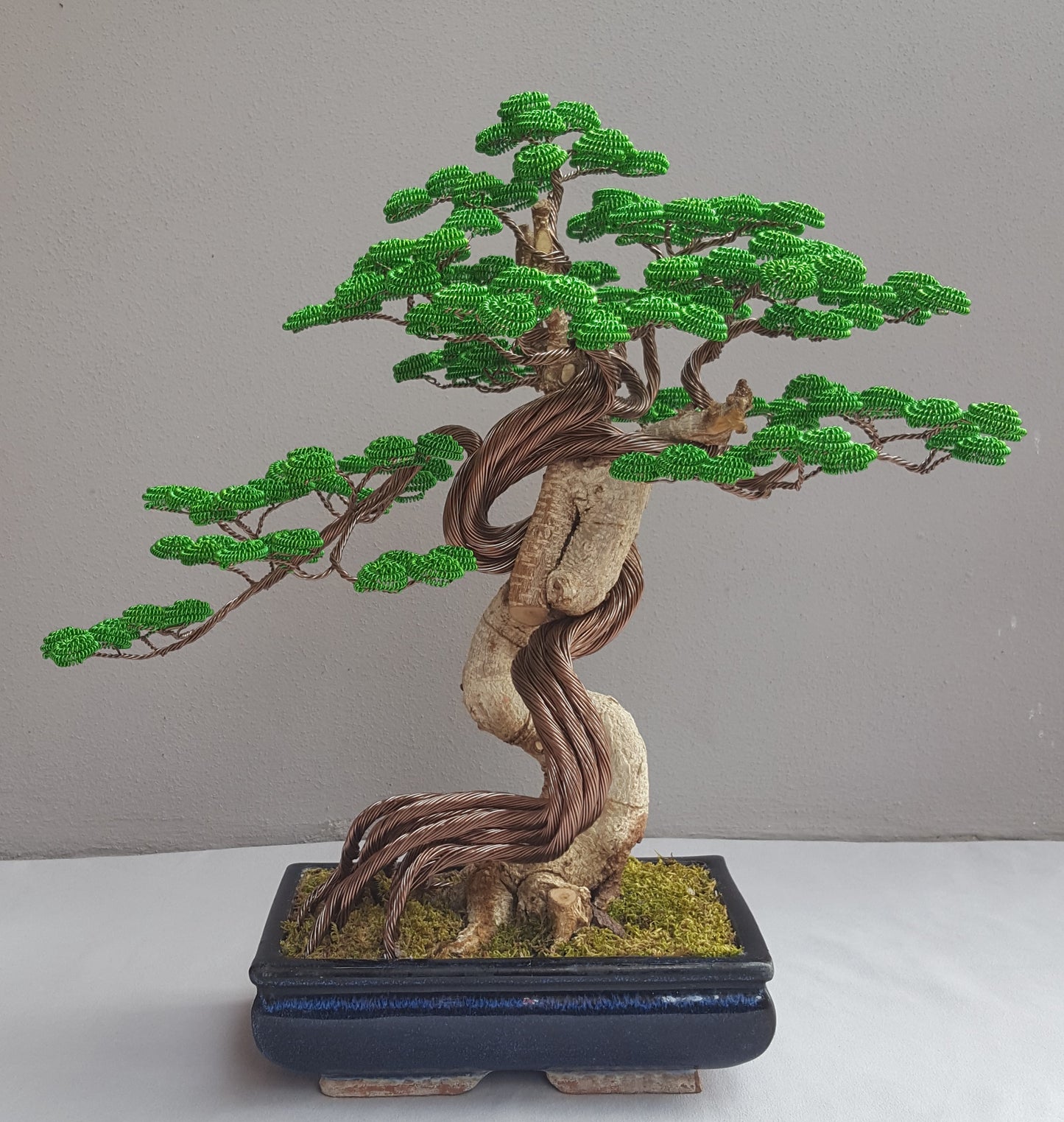Bonsai Extended Life serie B92 (REPLICABILE)