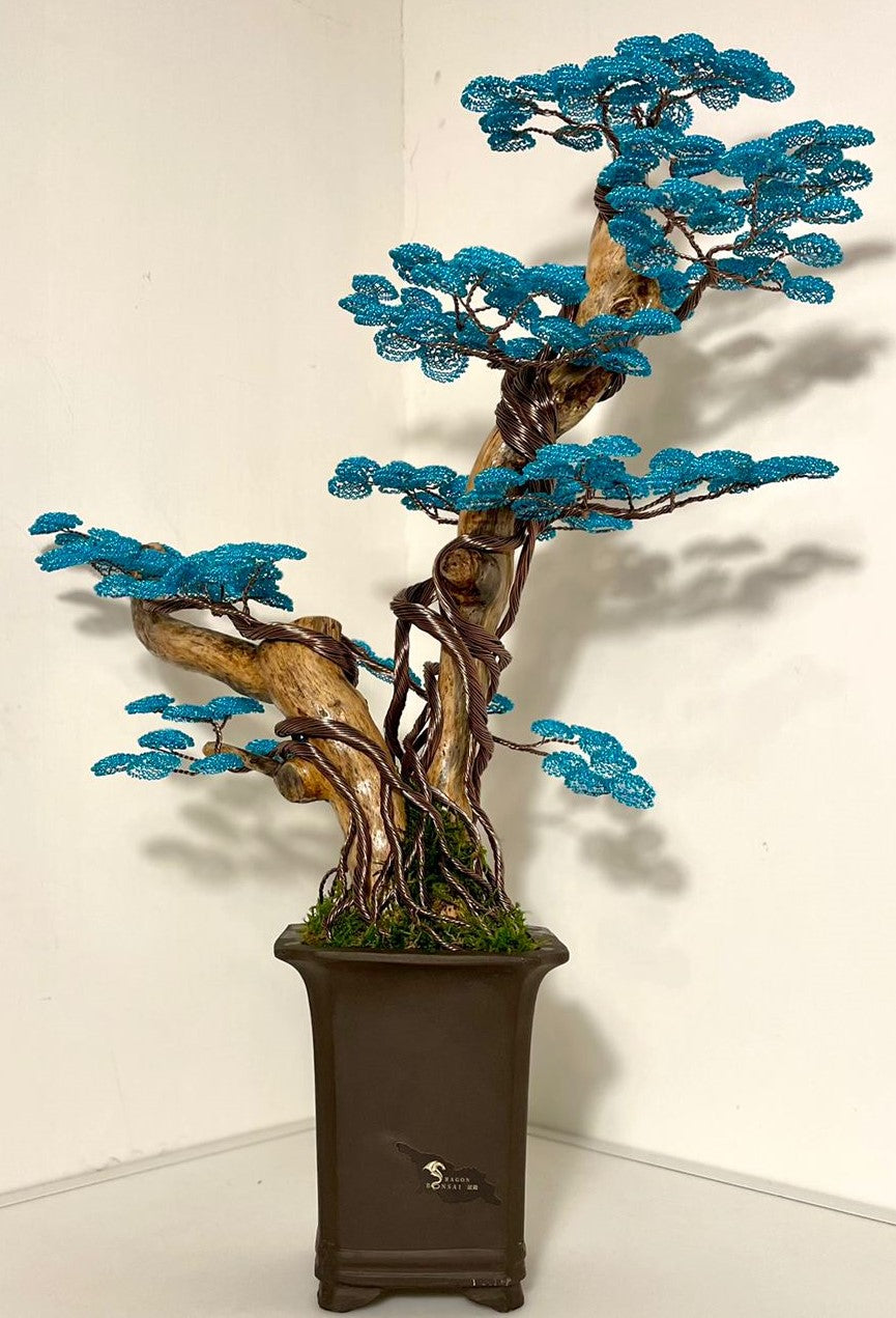 Bonsai B69 (REPLICABILE)