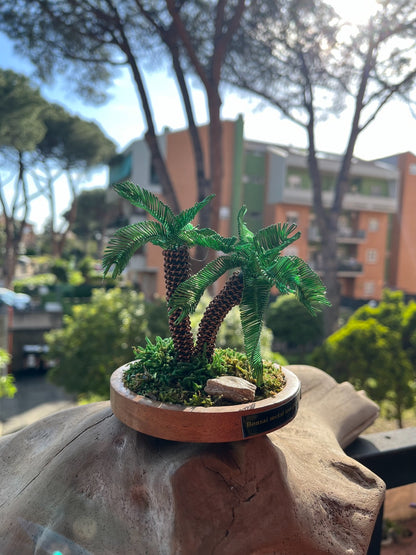 Mini bonsai palma