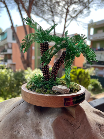Mini bonsai palma