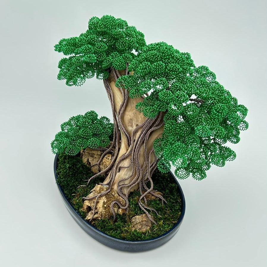 Bonsai Verde (REPLICABILE)