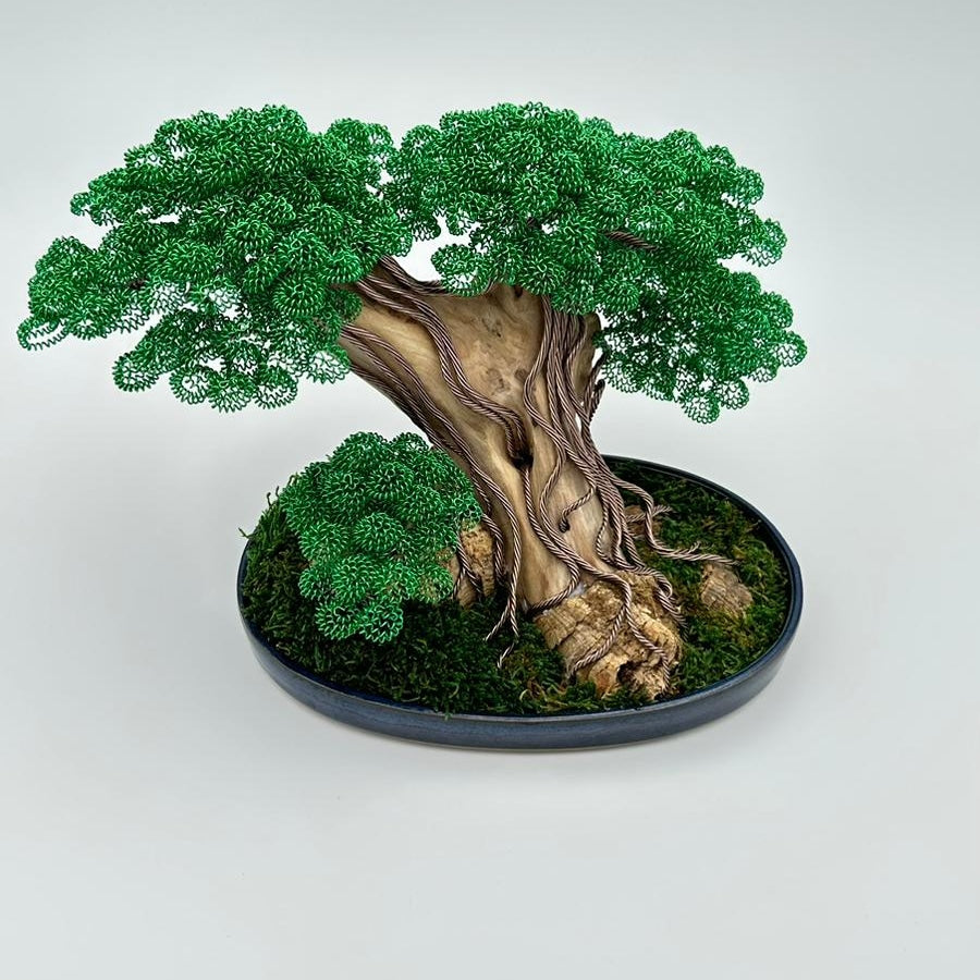 Bonsai Verde (REPLICABILE)
