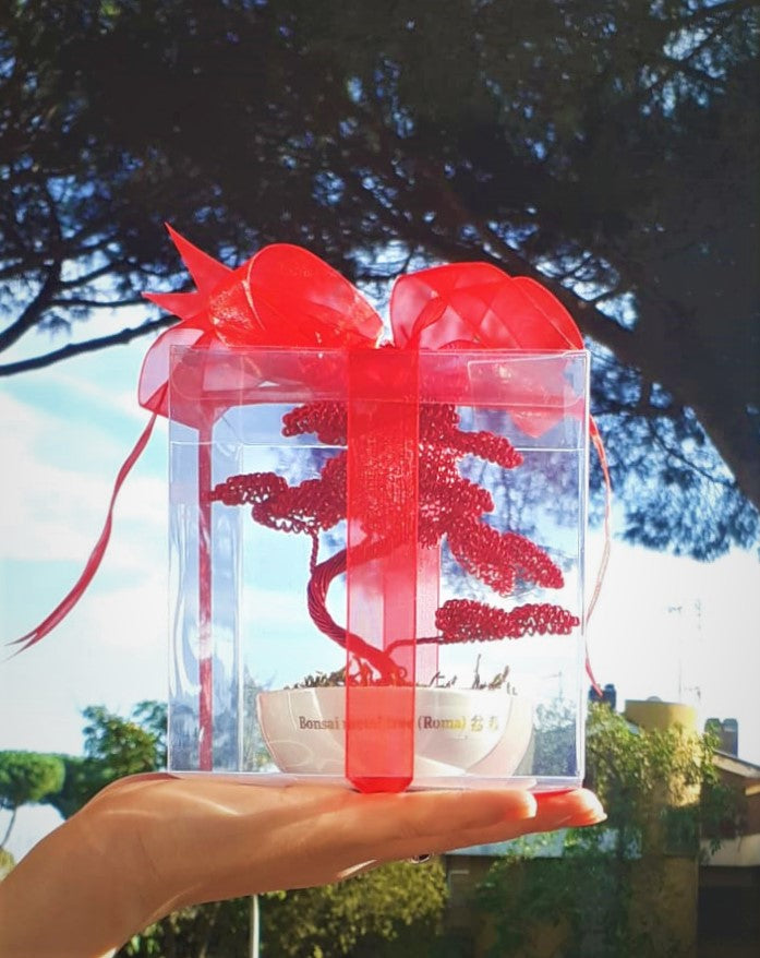 ART. E25- diversi colori - Bomboniere x cerimonie su ordinazione