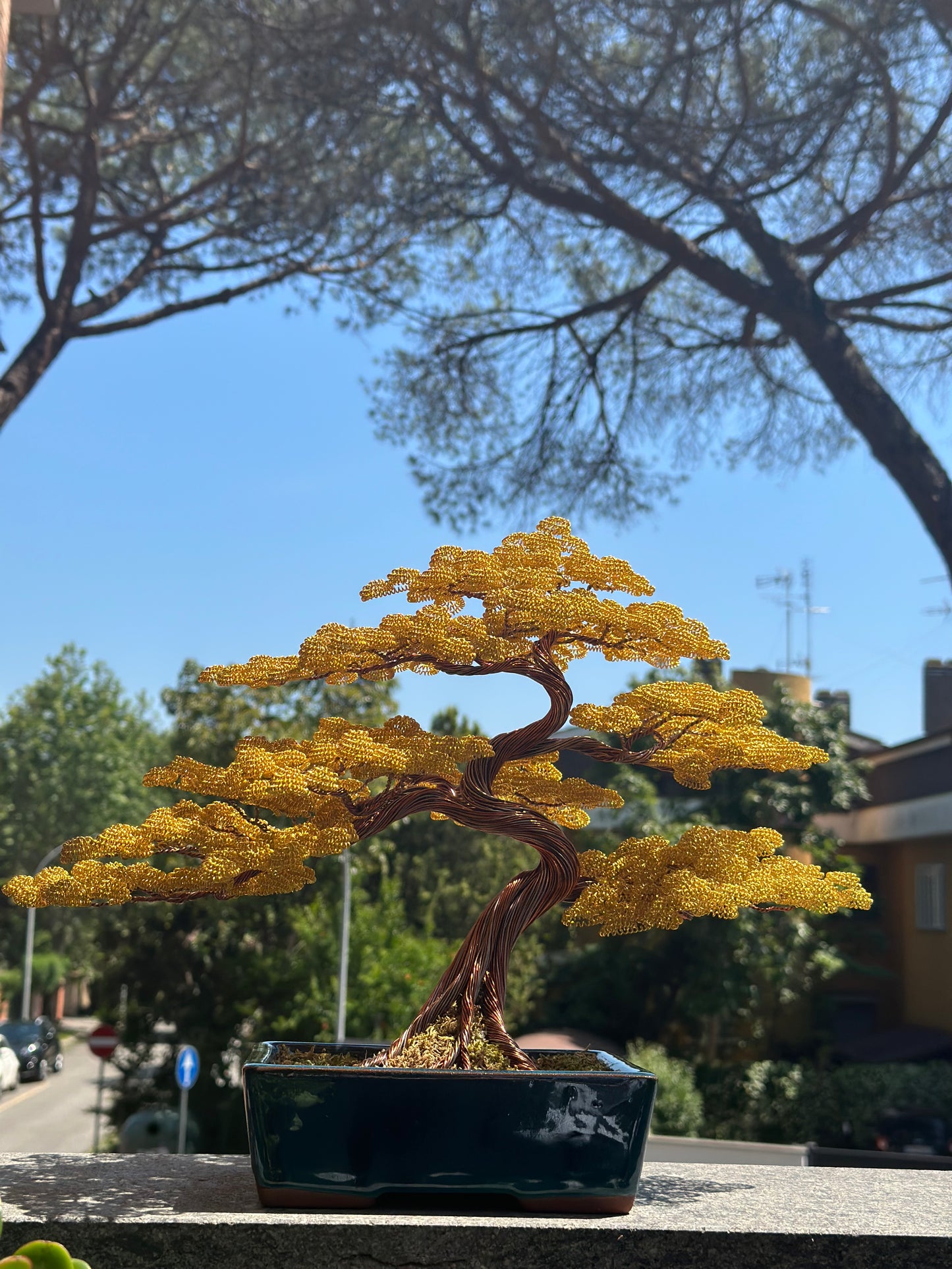 Bonsai serie B108  (REPLICABILE)