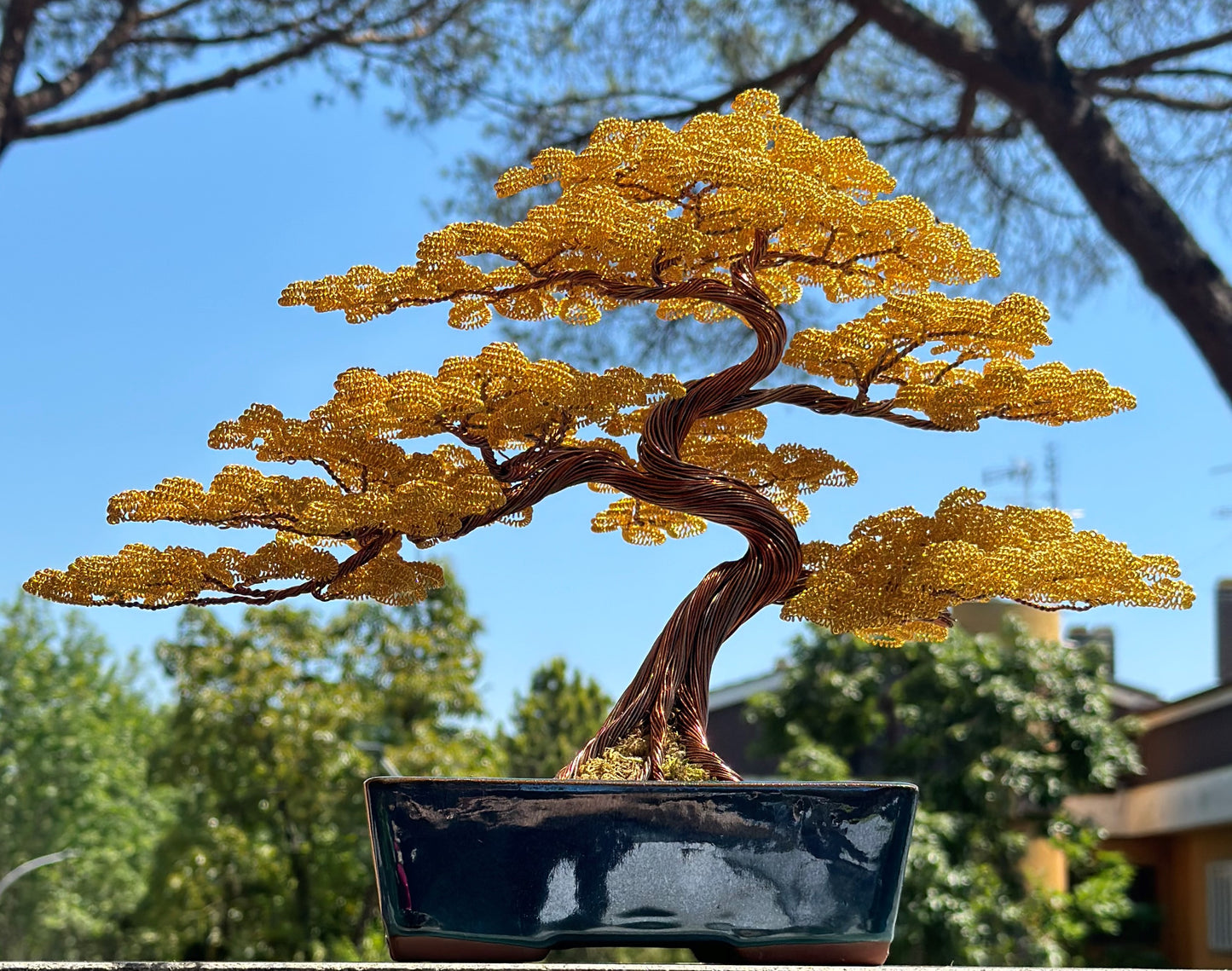 Bonsai serie B108  (REPLICABILE)