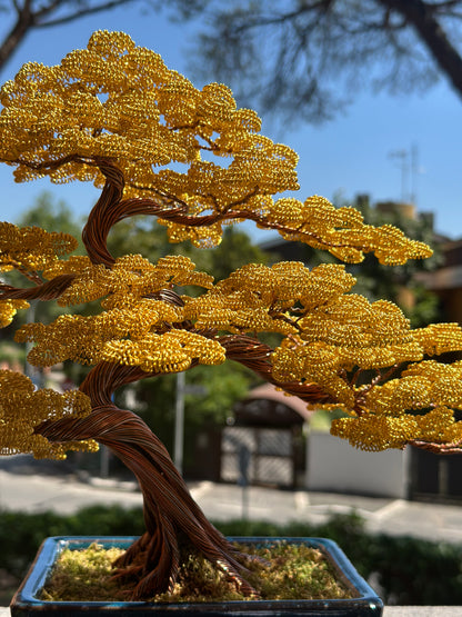 Bonsai serie B108  (REPLICABILE)