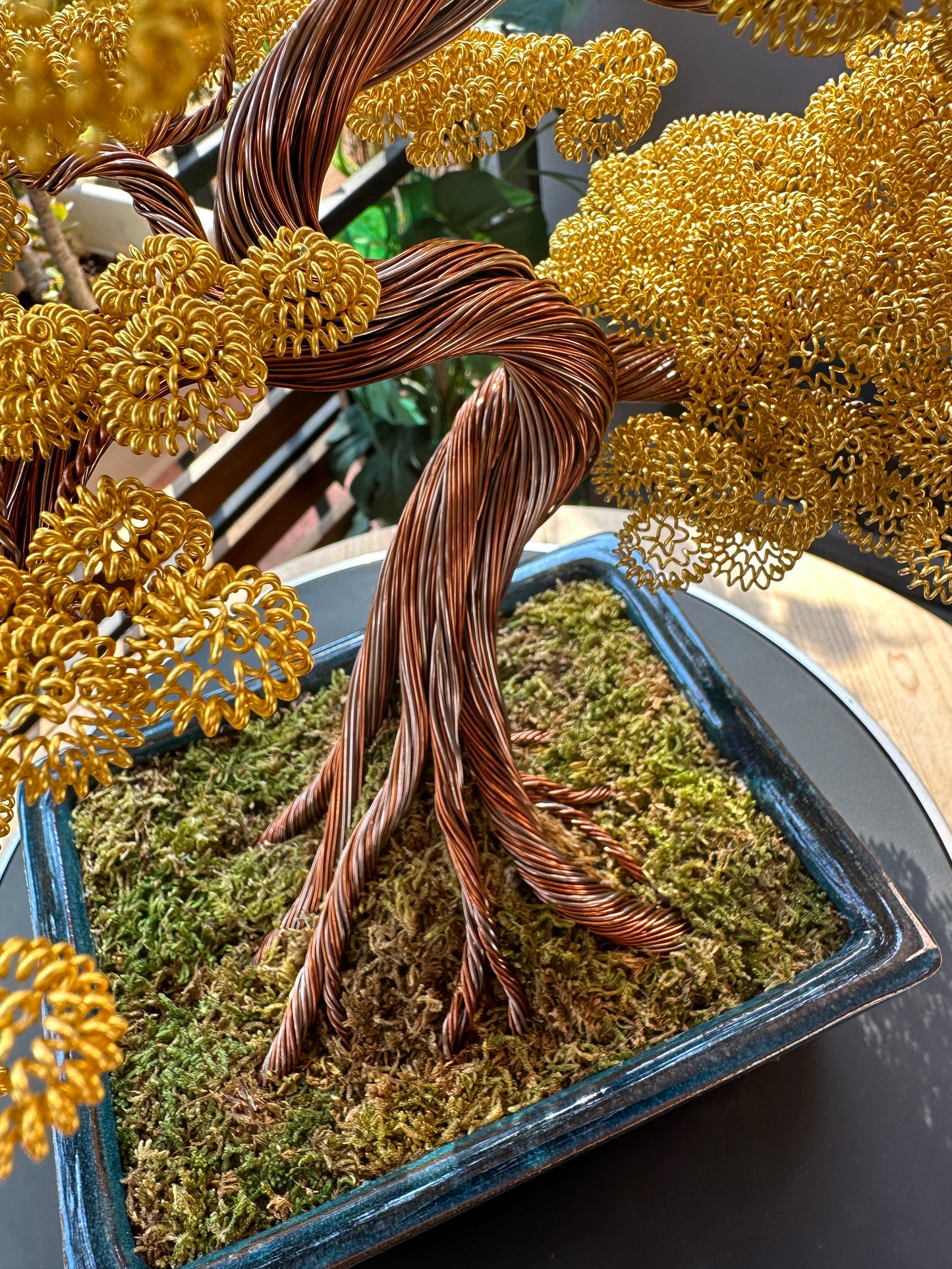 Bonsai serie B108  (REPLICABILE)