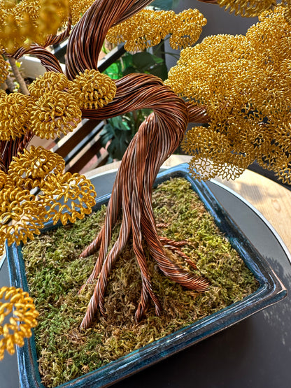 Bonsai serie B108  (REPLICABILE)