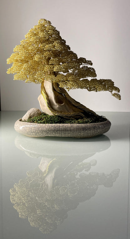 Bonsai foglie gialle (REPLICABILE)