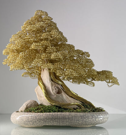 Bonsai foglie gialle (REPLICABILE)