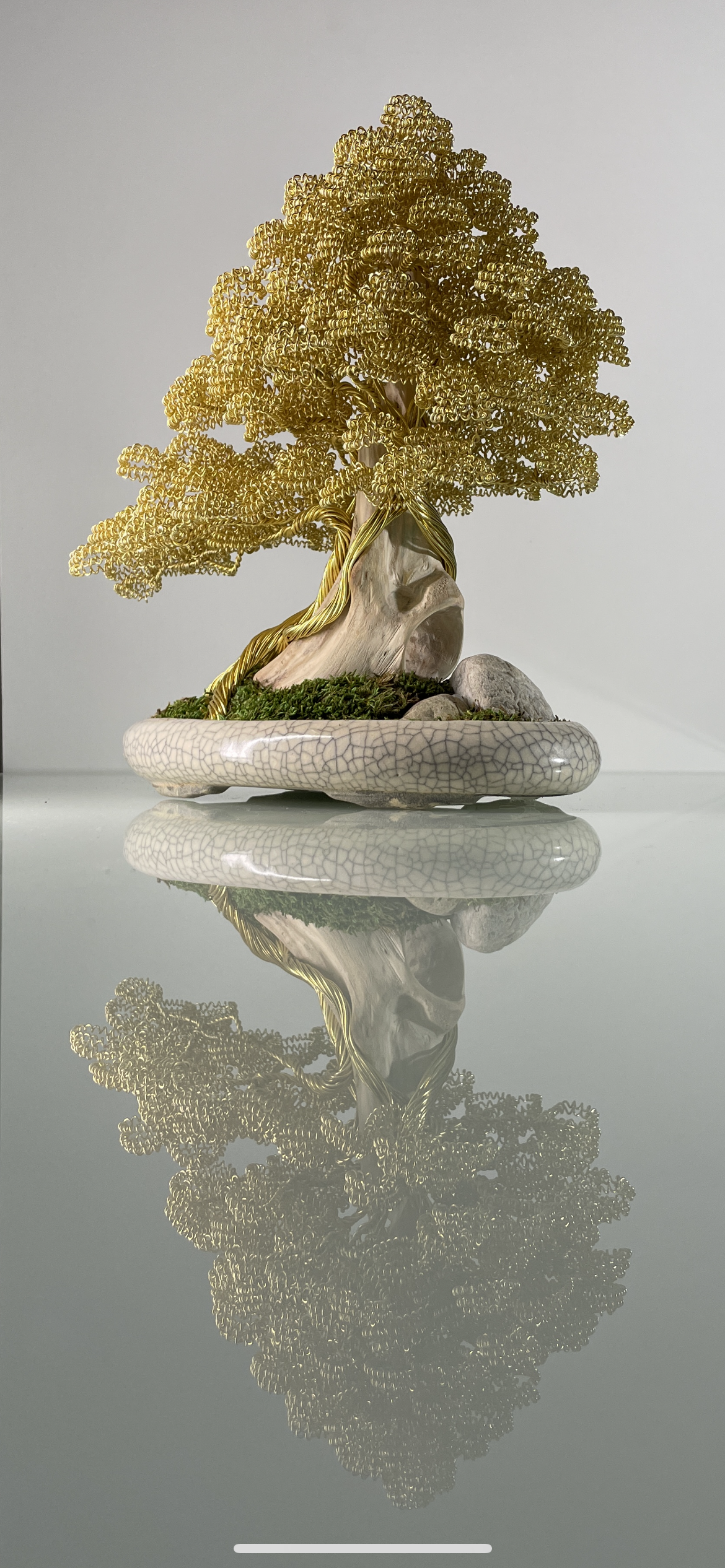Bonsai foglie gialle (REPLICABILE)