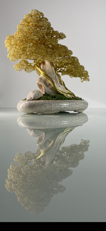 Bonsai foglie gialle (REPLICABILE)