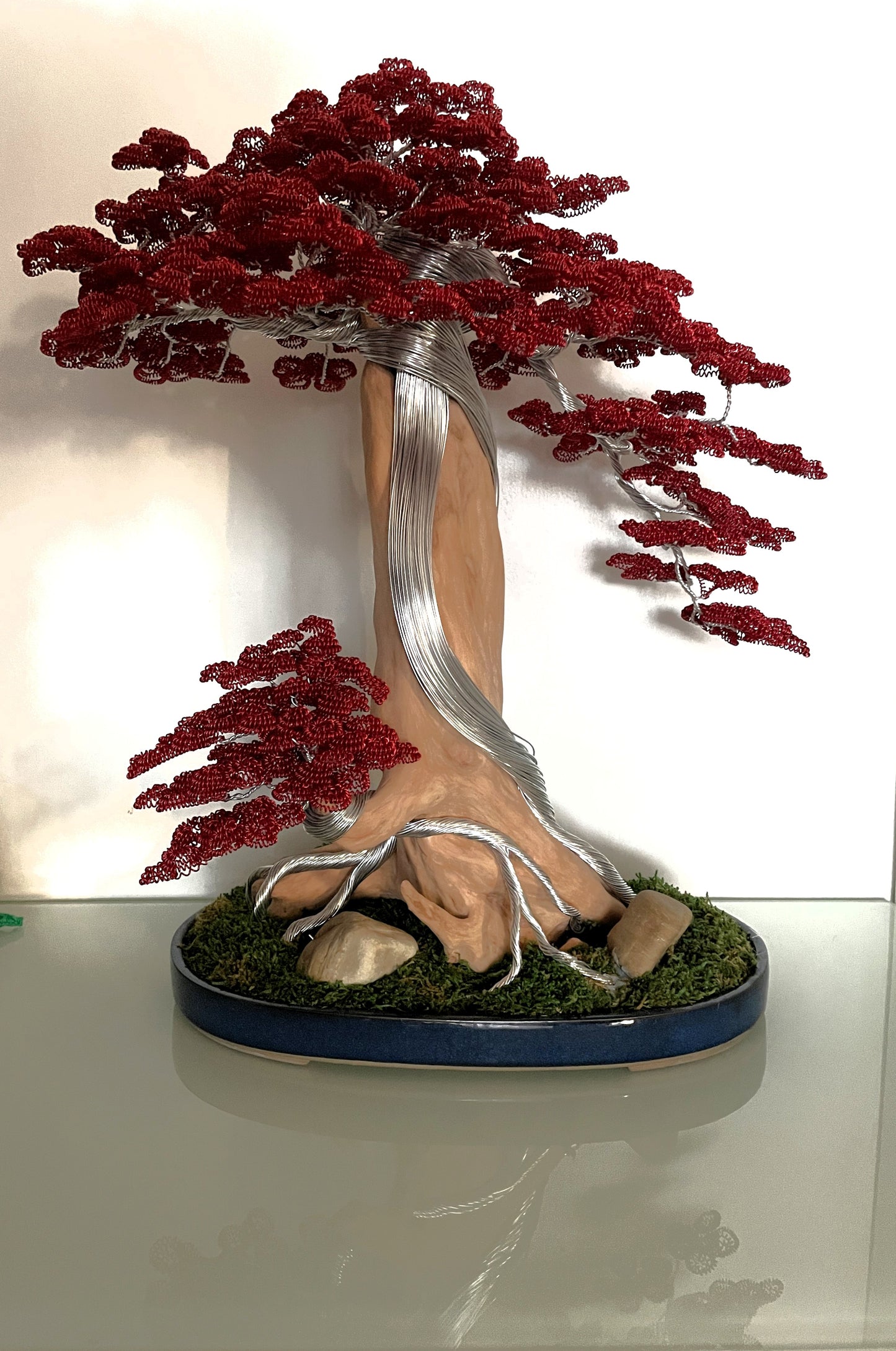 Bonsai B24