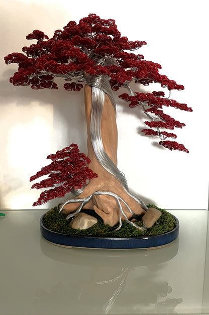 Bonsai B24