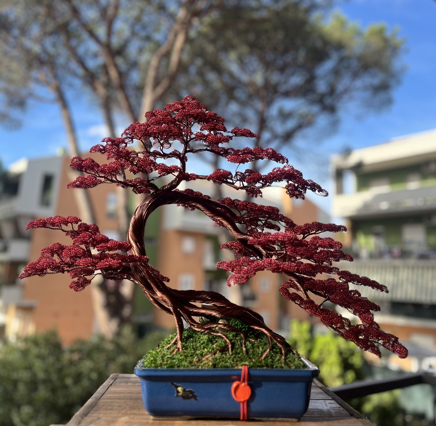 Bonsai rosso (REPLICABILE)
