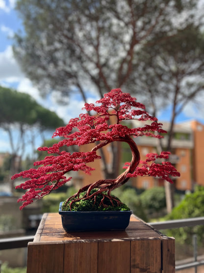 Bonsai rosso (REPLICABILE)