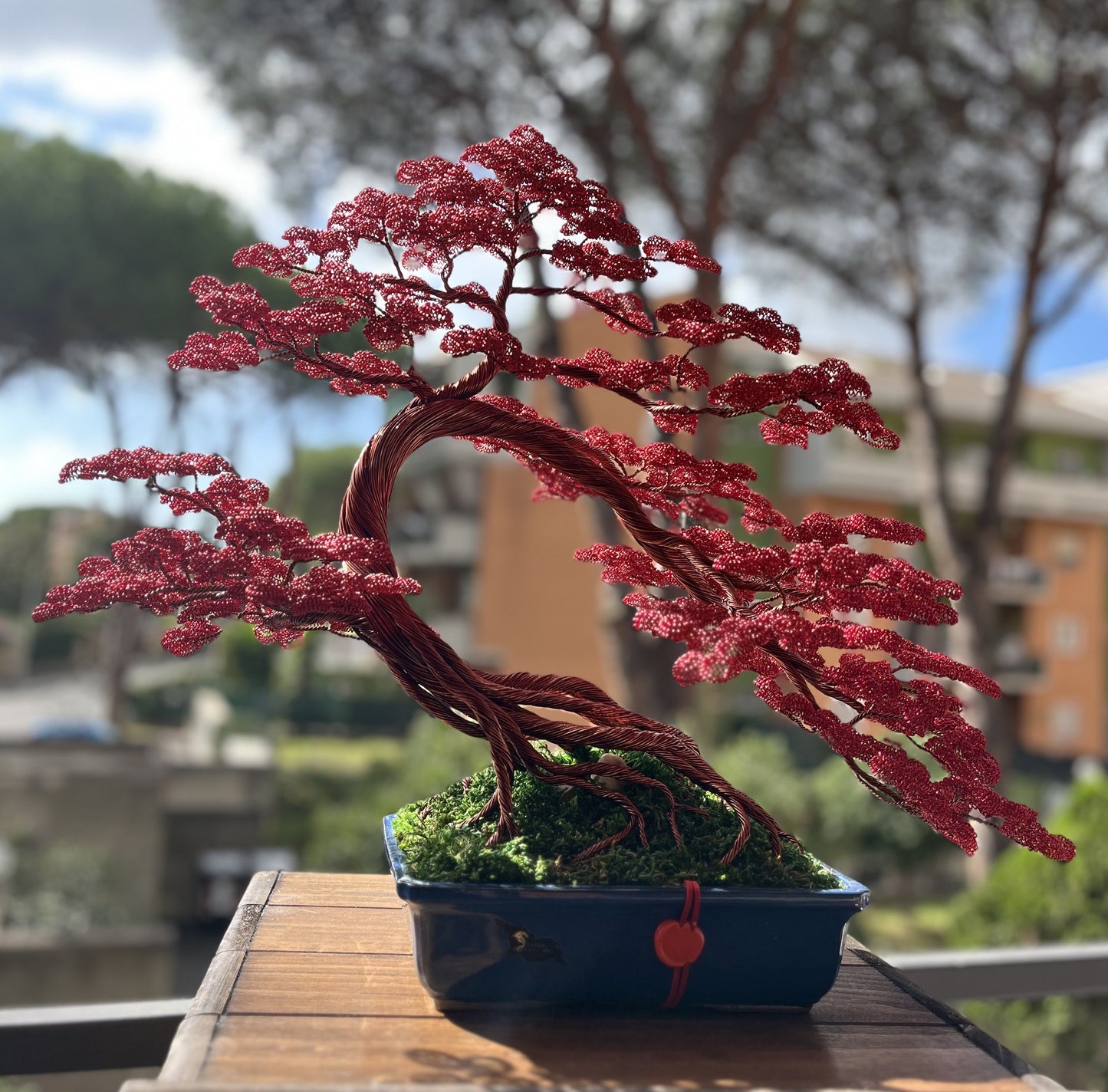 Bonsai rosso (REPLICABILE)