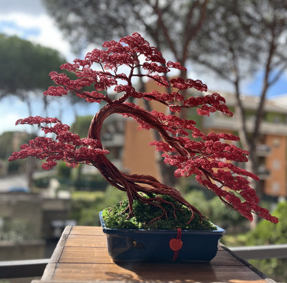 Bonsai rosso (REPLICABILE)
