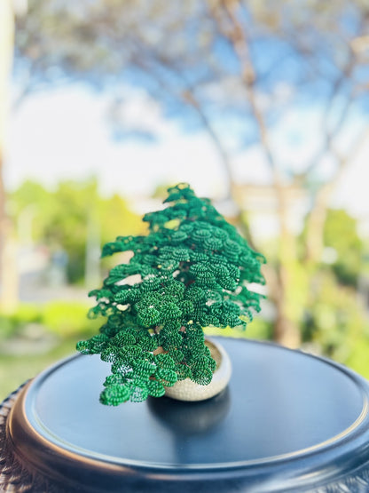 Bonsai serie B109 (REPLICABILE)