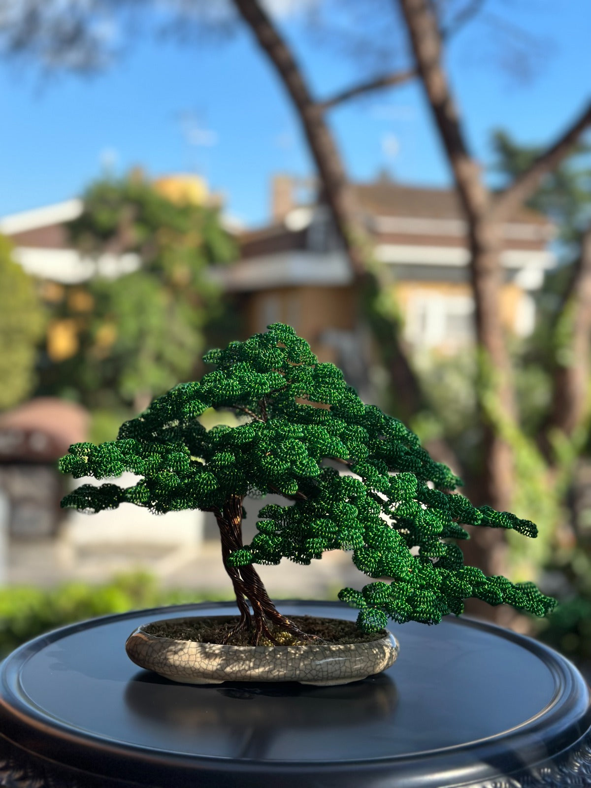 Bonsai serie B109 (REPLICABILE)