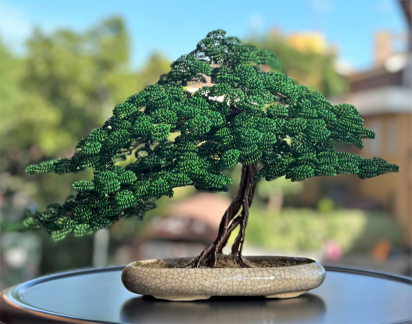 Bonsai serie B109 (REPLICABILE)