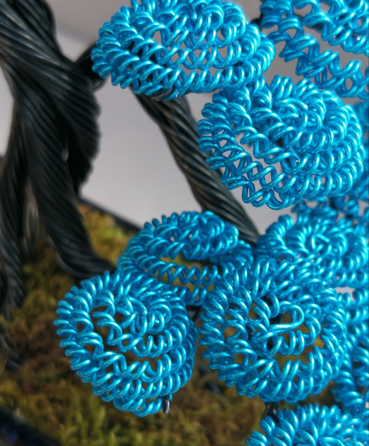 Bonsai serie B93 (REPLICABILE)