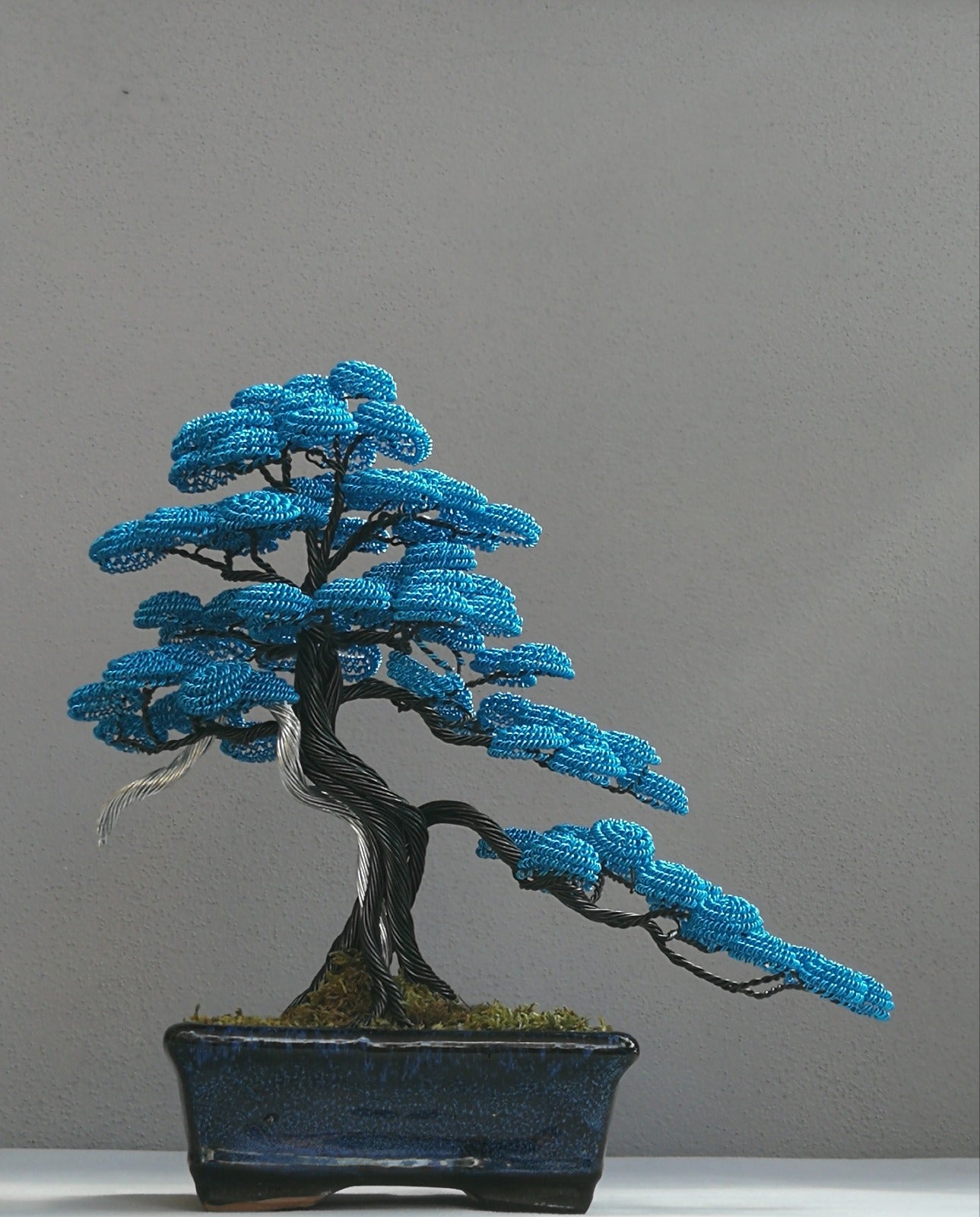 Bonsai serie B93 (REPLICABILE)