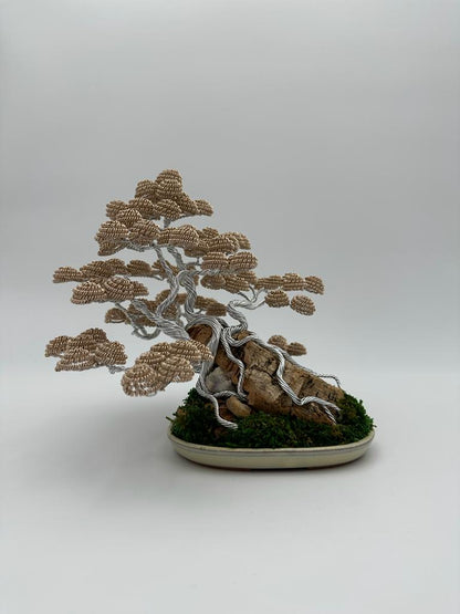 Bonsai seri B21 (REPLICABILE)