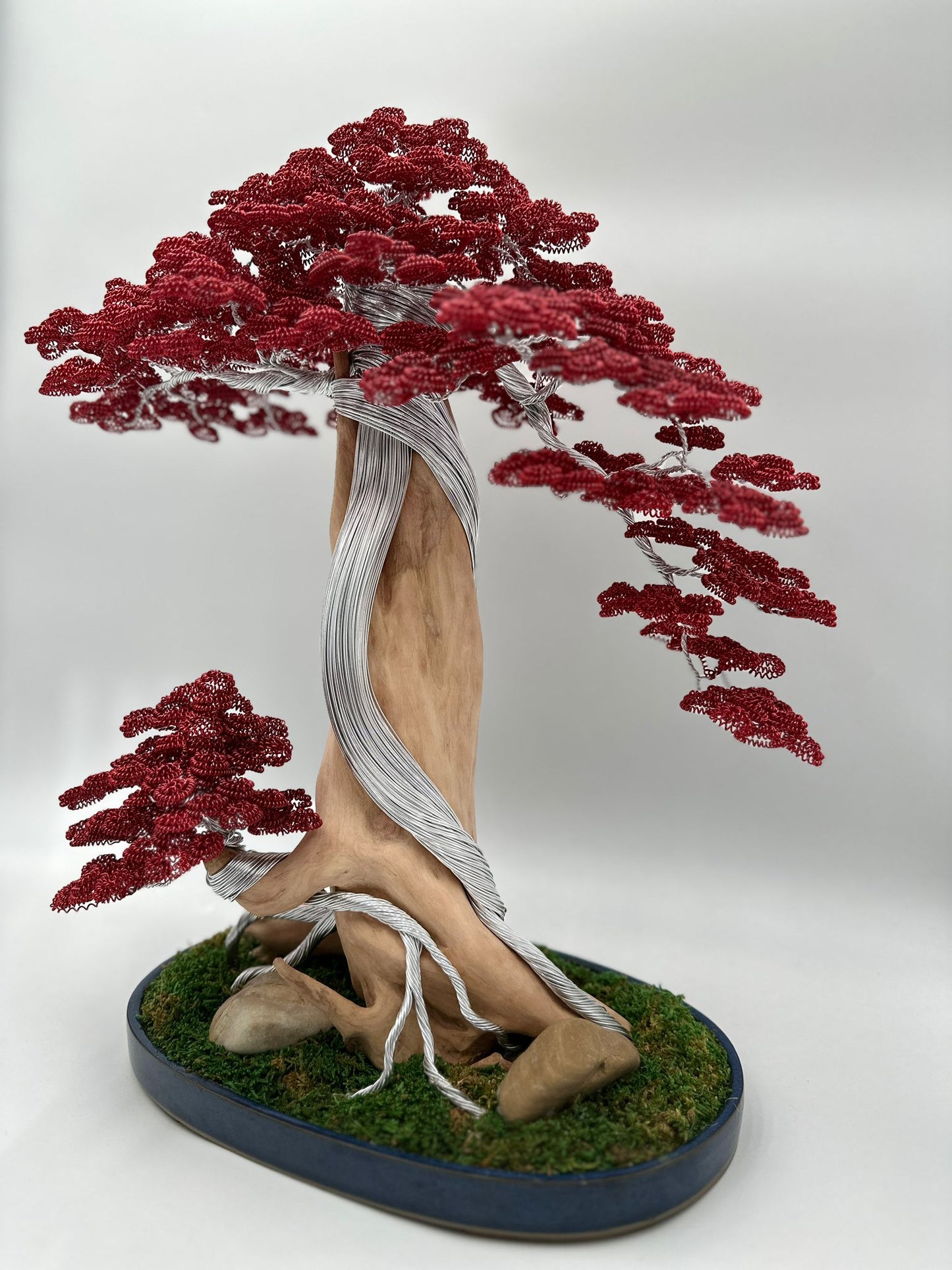 Bonsai B24