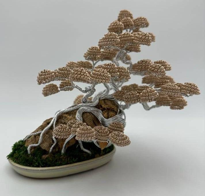 Bonsai seri B21 (REPLICABILE)