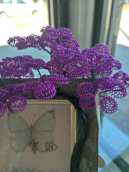 Cornice con bonsai viola